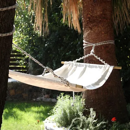Mousiko Pandoxeio Hotel Steni Dhirfios